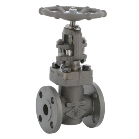 Vanne acier forgé, à soupape, brides intégrales PN20 (Class 150). TRIM5