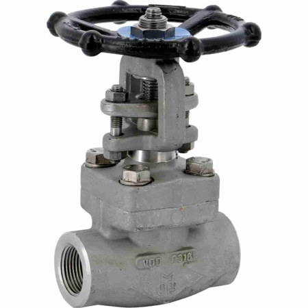 Vanne à opercule femelle femelle NPT, acier forgé F316, conception TRIM10, class 800